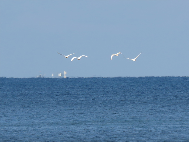f0214649_1552814.jpg