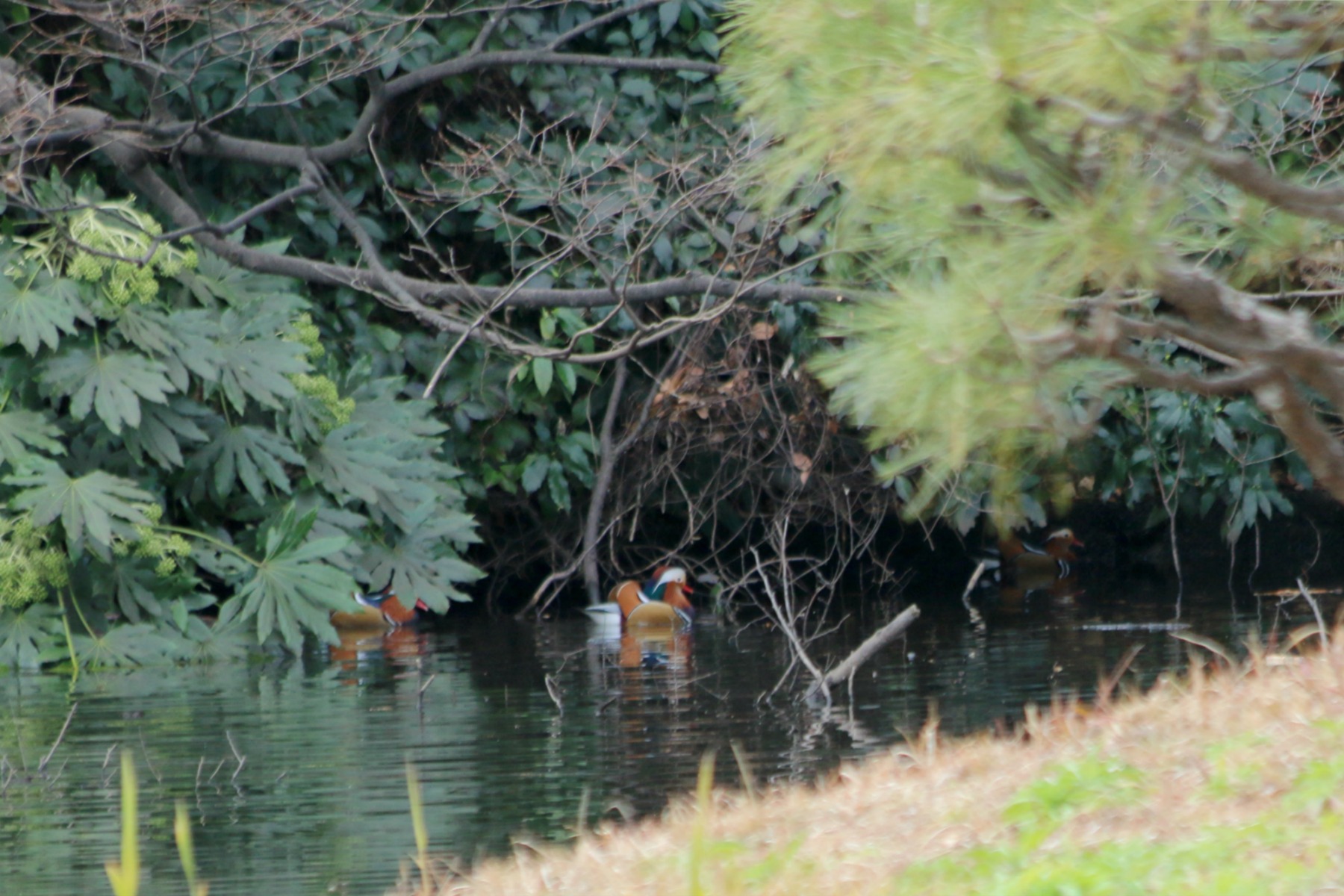 a0127090_20405145.jpg