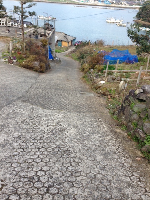 b0009103_12205896.jpg