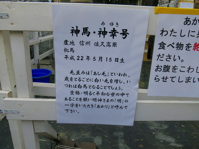 e0121110_22185586.jpg