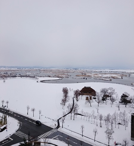 c0084117_17164868.jpg