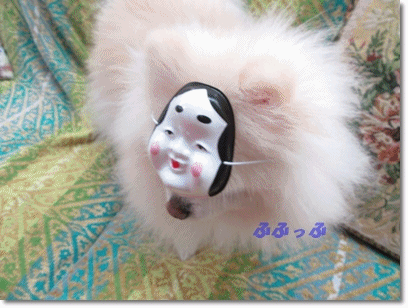 b0167519_22482034.gif