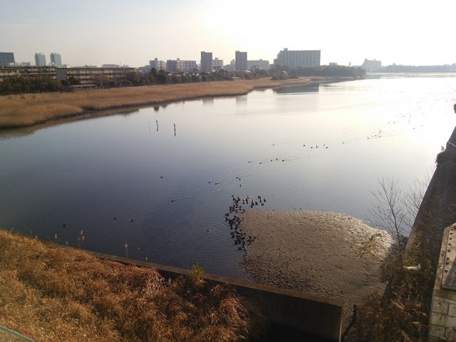 c0236527_816577.jpg
