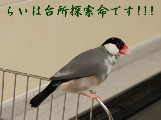 c0365734_22473326.jpg