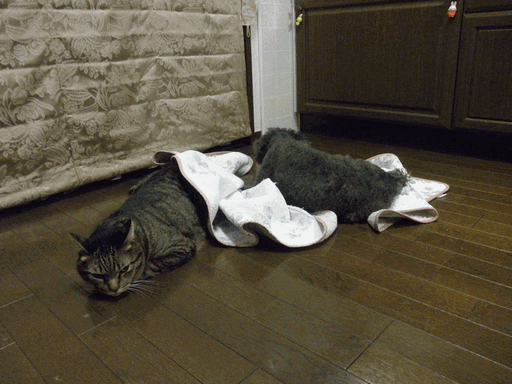 c0136736_21595826.gif
