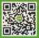 d0196743_11495573.png