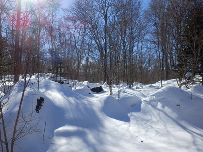 b0126549_12222076.jpg