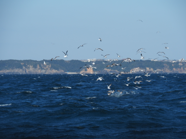 a0248152_1827069.jpg