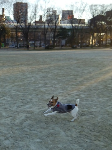 f0100871_23332101.jpg