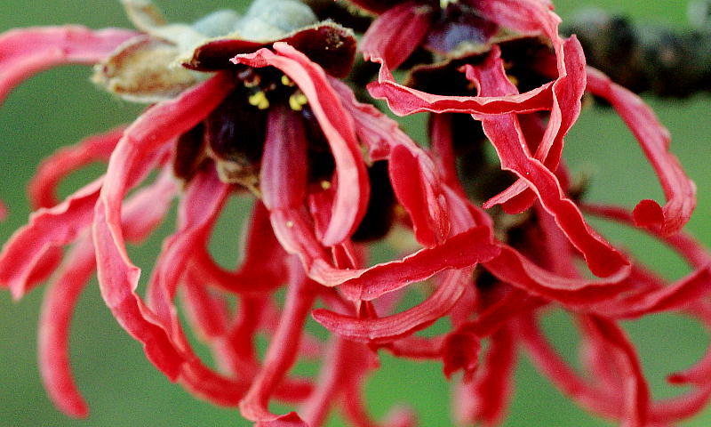 c0357781_20244381.jpg