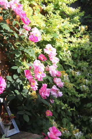 e0154682_22130413.jpg