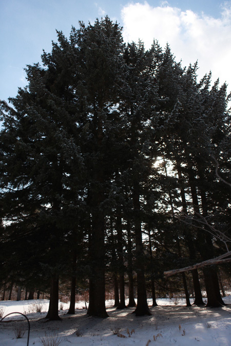 f0127388_22054339.jpg