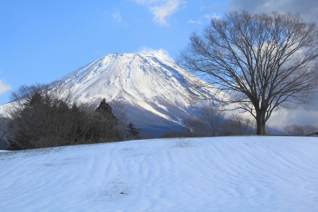 a0188405_22330498.jpg