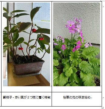 f0231709_11281534.gif