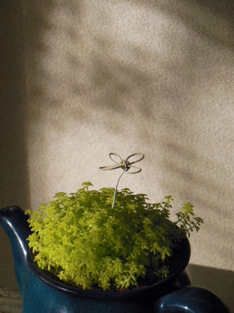f0208812_11341771.jpg