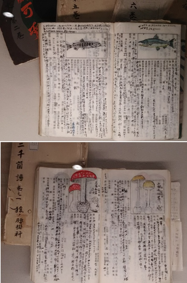 f0191517_10182195.jpg