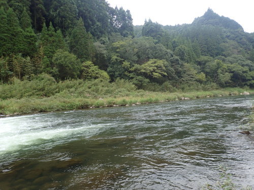 a0315918_18572525.jpg