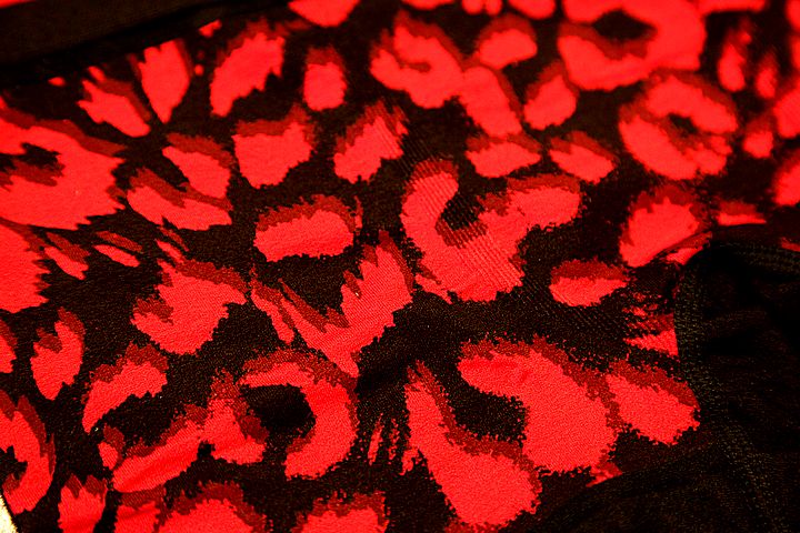 f0165518_14515132.jpg