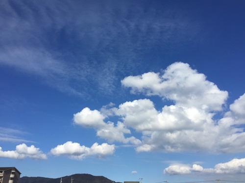 f0251618_15345737.jpg