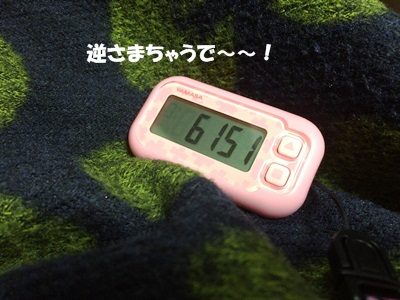 f0251618_15391262.jpg