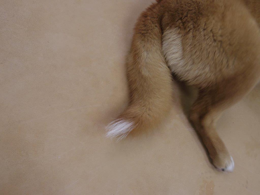 f0078320_10432193.jpg