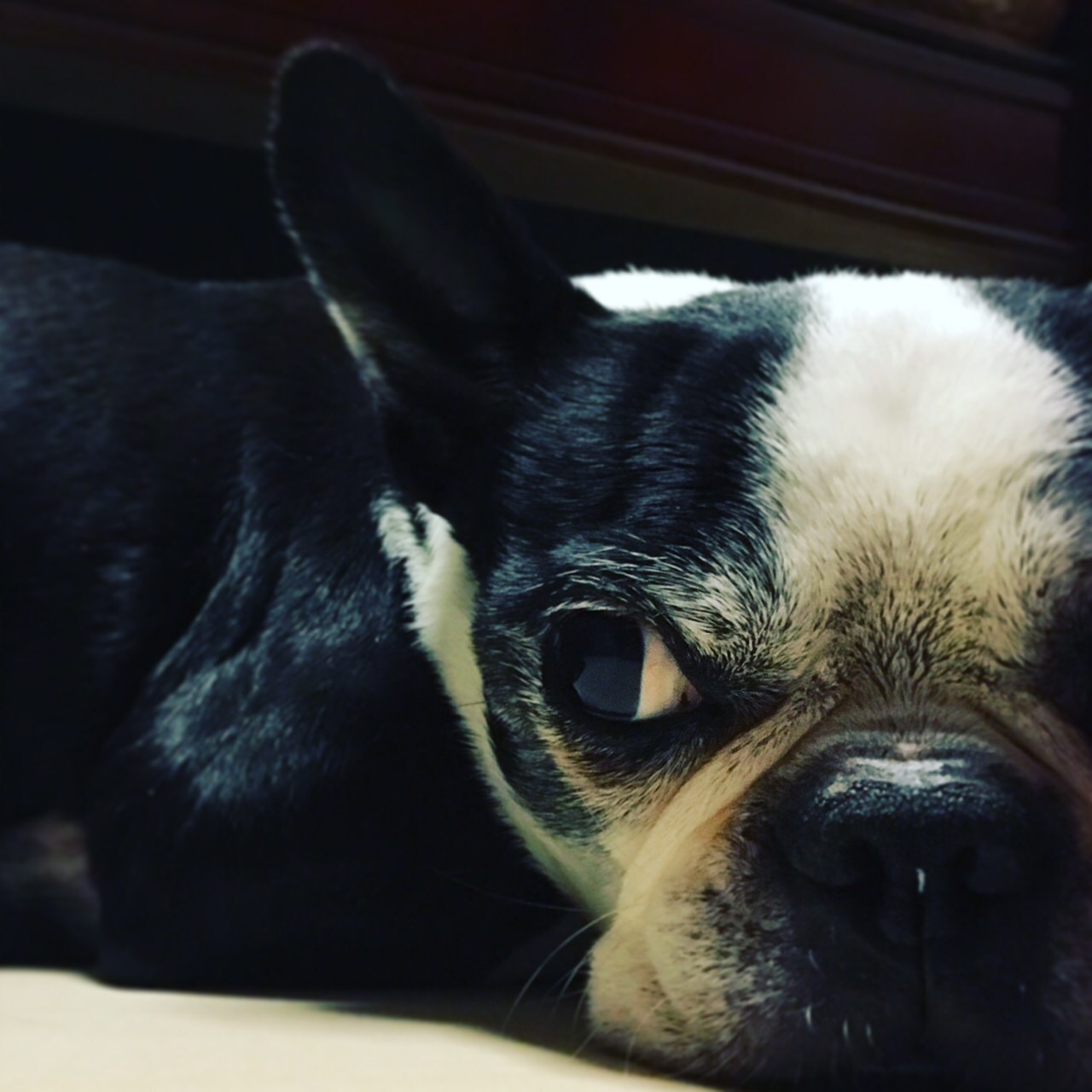 f0238932_17455763.jpeg