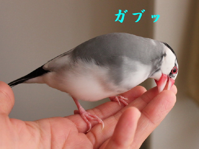 c0365734_21191180.jpg