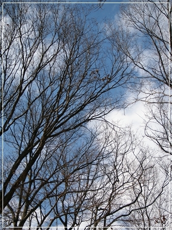 d0013149_22571910.jpg