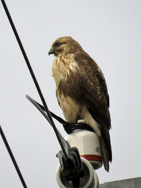 f0214649_5493032.jpg