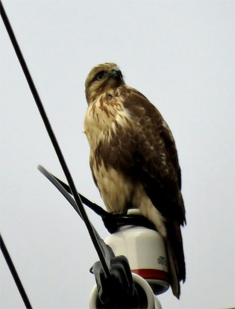 f0214649_5494983.jpg