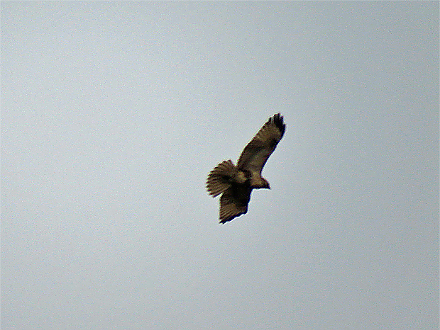 f0214649_5511070.jpg