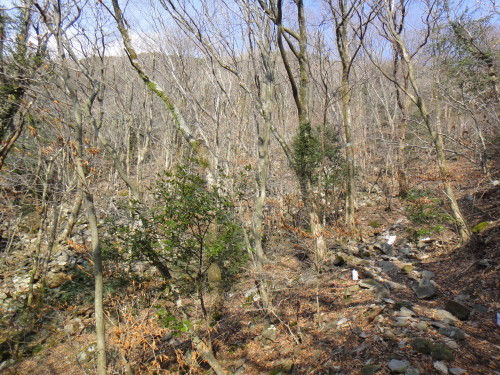 c0179351_09414263.jpg