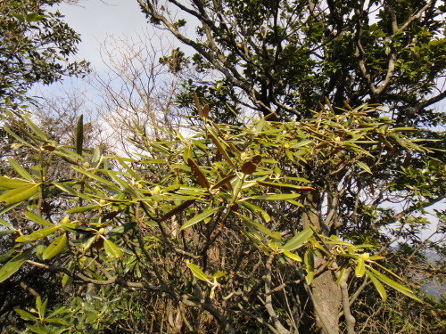 c0179351_09415433.jpg