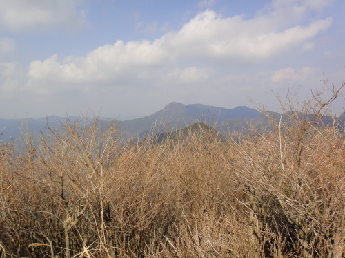 c0179351_09420685.jpg