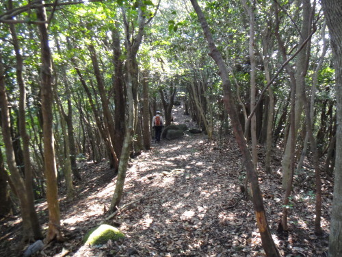 c0179351_09424633.jpg