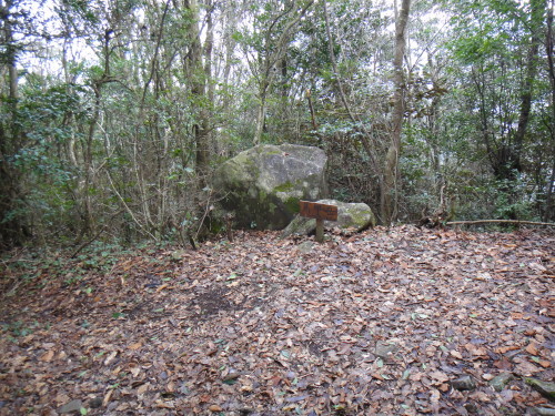 c0179351_09431066.jpg