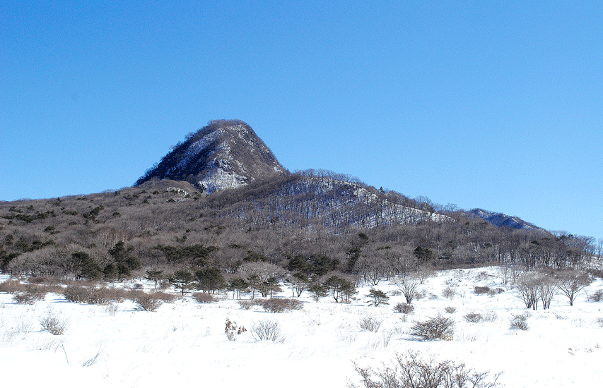 a0001354_2035452.gif
