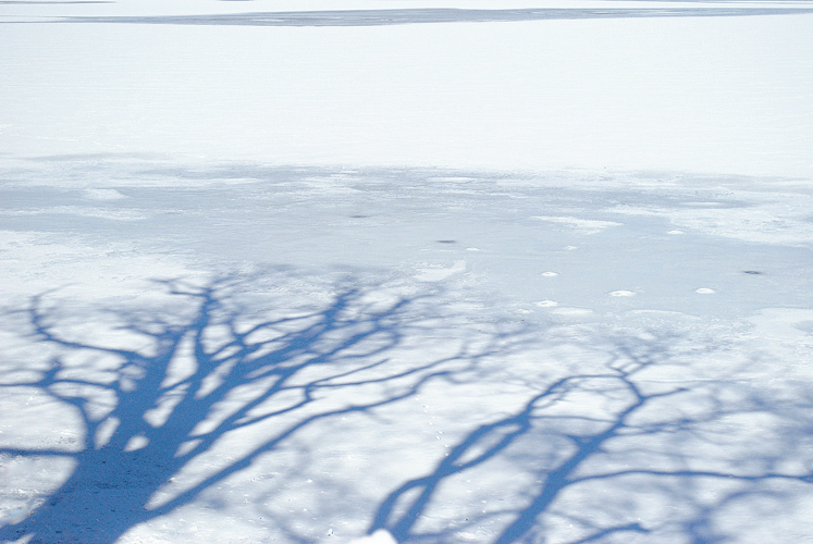 a0001354_20392735.gif