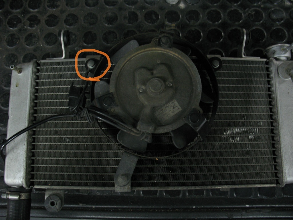 e0114857_2229504.jpg
