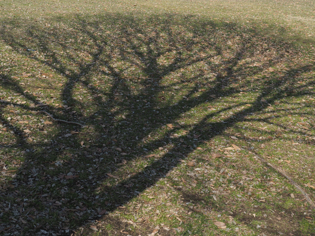 e0346064_17154518.gif