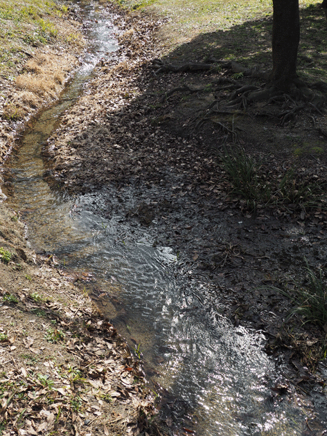 e0346064_171632.gif