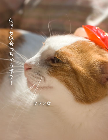 a0119470_21275398.jpg