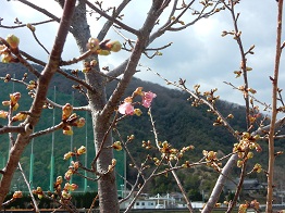 e0175370_854227.jpg