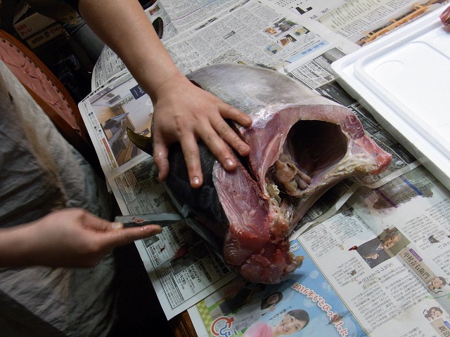 a0137874_18324187.jpg