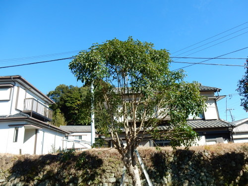 f0054677_08320789.jpg