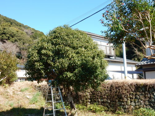 f0054677_08333677.jpg