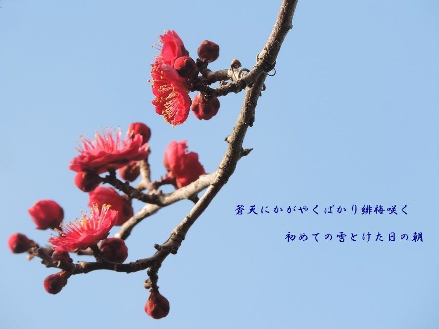 c0187781_00280215.jpg