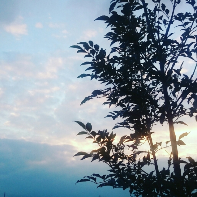 a0351387_09392221.jpg