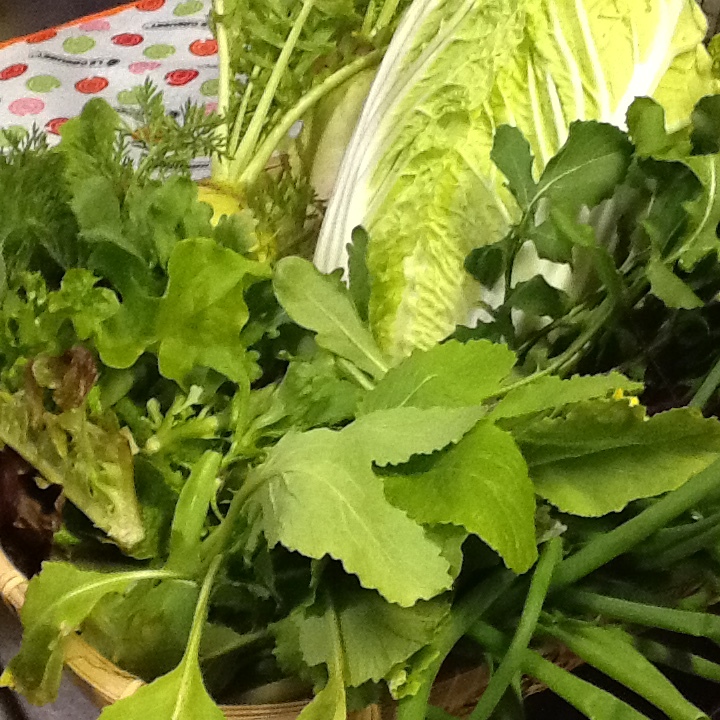b0330288_17203120.jpeg