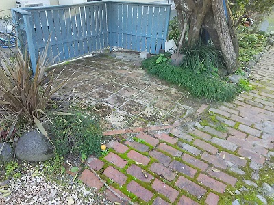 b0266191_20584846.jpg